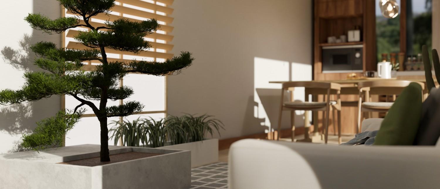 Benefits of Natural Sunlight